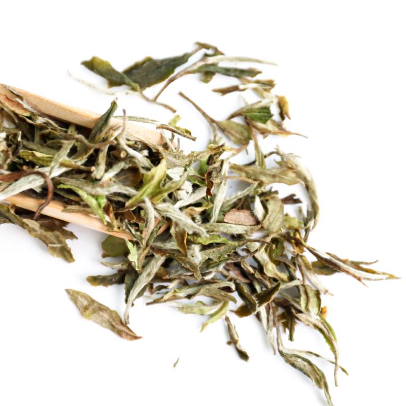 天苗白牡丹2016（50g）