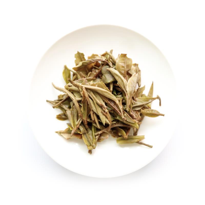 天苗白牡丹2016（50g）