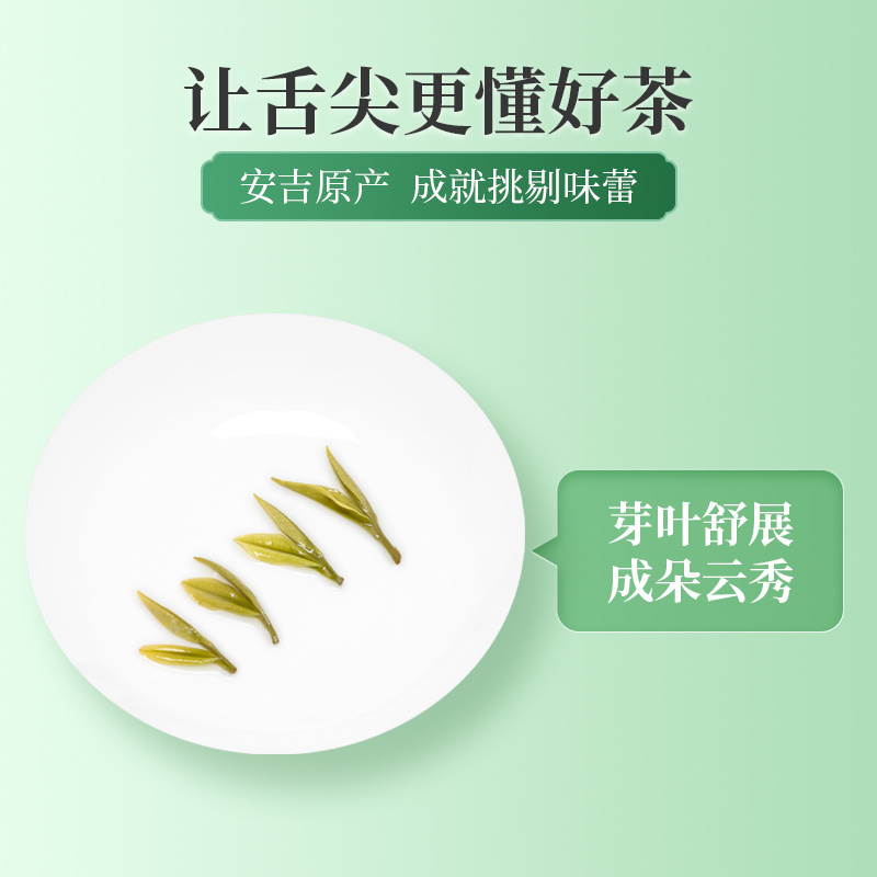 龙王山小龙王安吉白茶2023（108g）