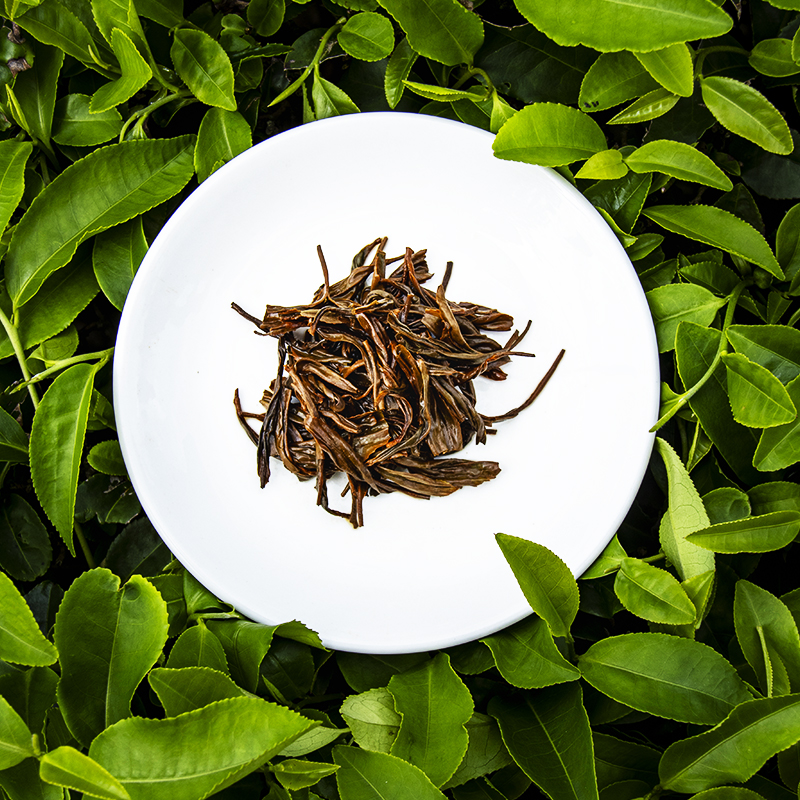 金苔香金苔红凸罐2023（125g）